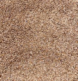 Walnut shell granulate H1/100